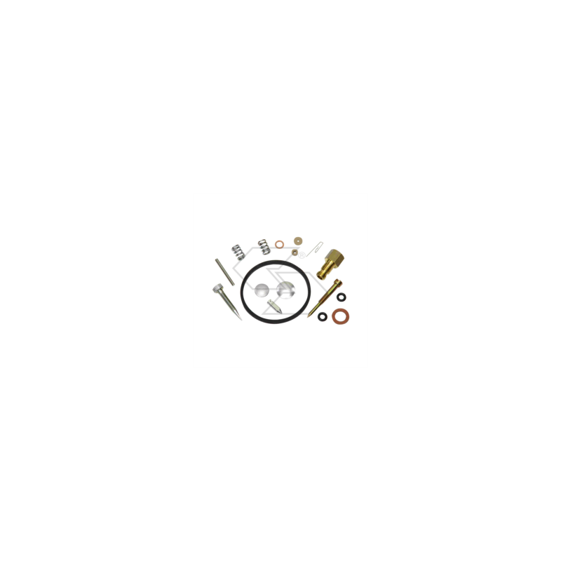 KIT RIPARAZIONE CARB. TECUM.631029 R125211
