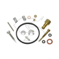 KIT RIPARAZIONE CARB. TECUM.631029 R125211