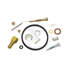 KIT DE RÉPARATION CARBONE TECUM.631584 R125213 | NewgardenParts.com