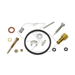 KIT DE RÉPARATION CARBONE TECUM.632162 R125214 | NewgardenParts.com