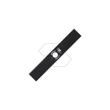 Lame de débroussailleuse à 2 dents TP 300x50x3 D.25,4 R300173 | NewgardenParts.com