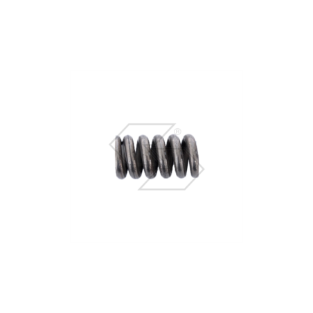 CONNECTING ROD SPRING 2430 A11006 | NewgardenParts.com
