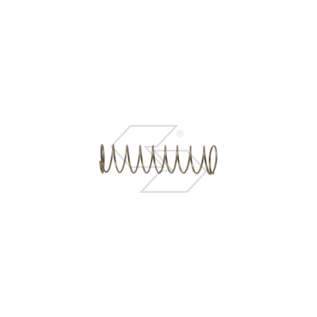 Muelle de equilibrio WALBRO 98-270-8 R122428 | NewgardenParts.com