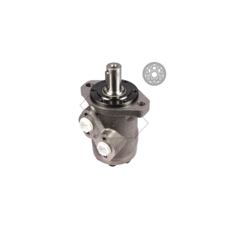 Engine type OMR 250 cc. A18879 | NewgardenParts.com
