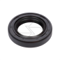 PARAOLIO 20X32X6 HONDA GX100 R370751