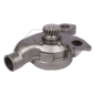 LANDINI 115-130 BLUE WATER PUMP A10988