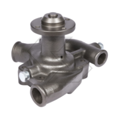Pompe à eau LANDINI 60V-65V A10989