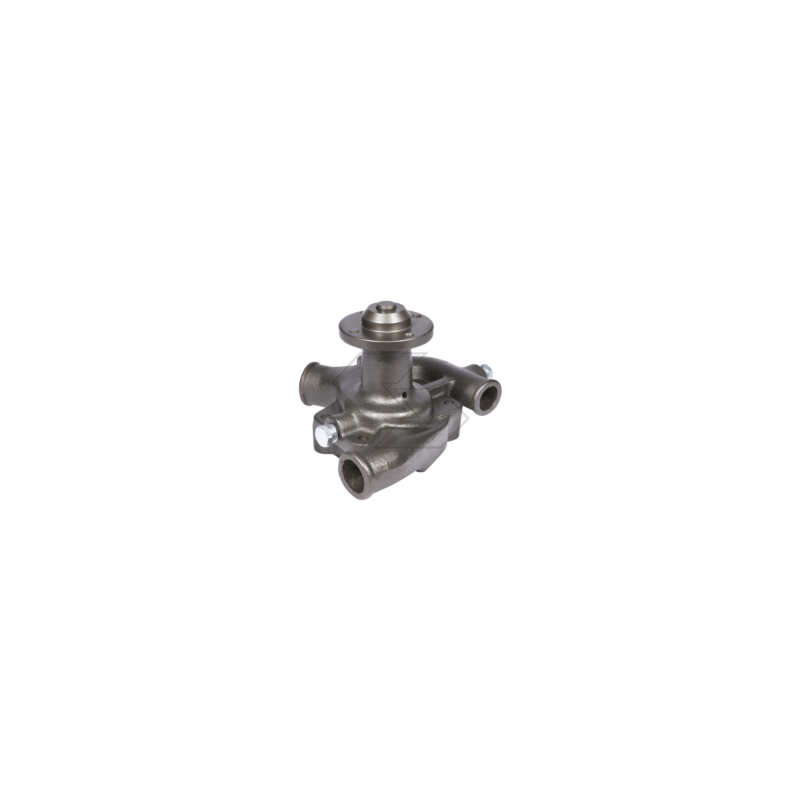 Pompe à eau LANDINI 60V-65V A10989