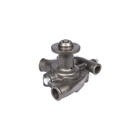 LANDINI WATER PUMP 60V-65V A10989 | NewgardenParts.com