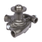 Pompe à eau LANDINI 60V-65V A10989