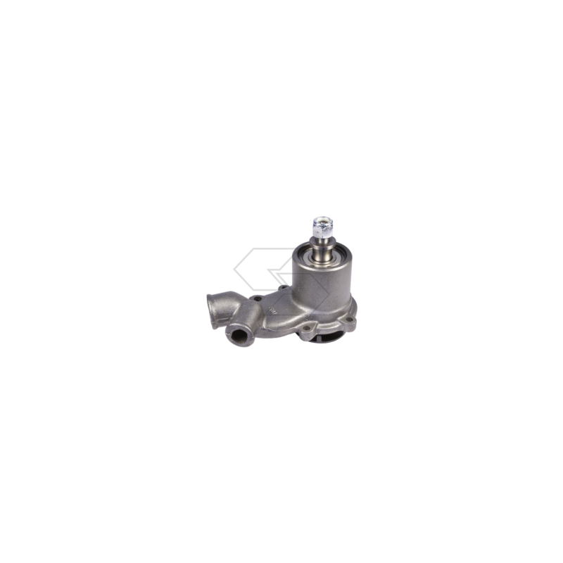 POMPE À EAU LANDINI 9060 A10987