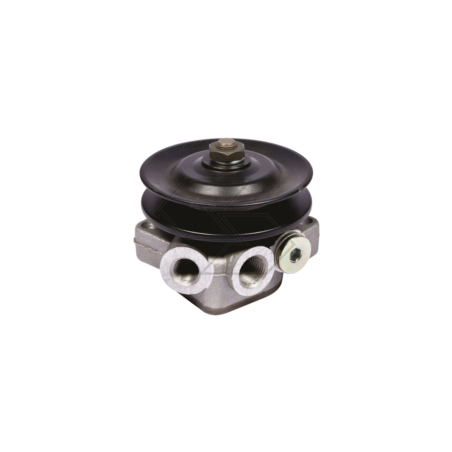 FEED PUMP LAMBORGHINI R3.85T A20115 | NewgardenParts.com