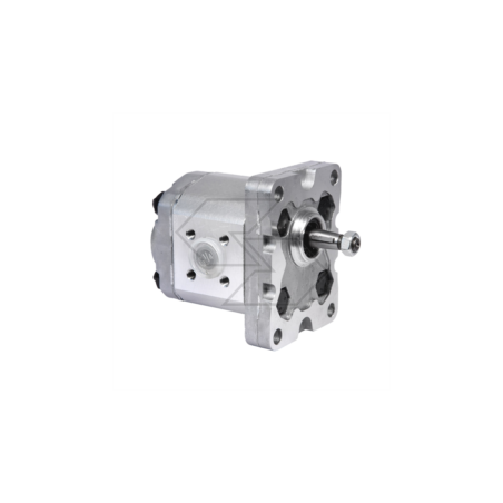 Gear pump group 1 Right rotation - 1VP 3.2 D A09810 | NewgardenParts.com