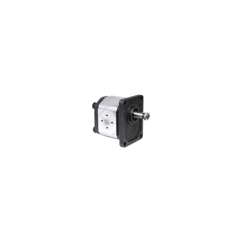 Gear pump group 2 right rotation - 2VP 16D - displacement 16 cm³ A09834