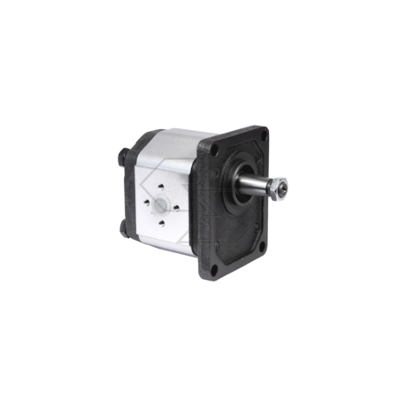 Gear pump group 2 right rotation - 2VP 20D - displacement 20 cm³ A09836 | NewgardenParts.com