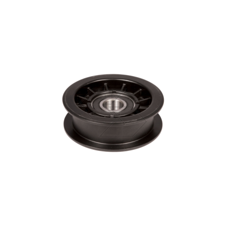 Riemenscheibenadapter CASTELGAR.25601554/0 R305304 | NewgardenParts.com