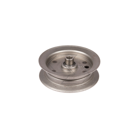 FLAT PULLEY D.101 F.9,5 L19-LAM R301060 | NewgardenParts.com