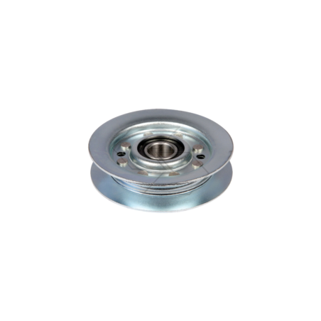 TENDENCY PULLEY A'V'CASTELG.25601555 R303813 | NewgardenParts.com