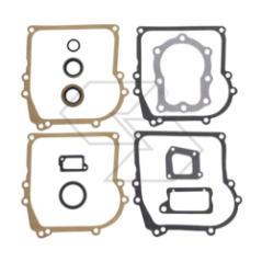 Juego de juntas B&amp-S 391662 R240187 | NewgardenParts.com