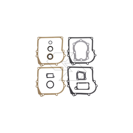 B&amp-S 391662 R240187 Dichtungssatz | NewgardenParts.com