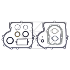 B&amp-S SEAL SET 494241/490525 R240189 | NewgardenParts.com