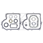 SERIE GUARNIZIONI B&S 494241/490525 R240189 SERIE GUARNIZIONI B&S 494241/490525 R240189