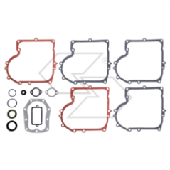 Satz Motordichtungen B&amp-S12-12,5 PS R240214 | NewgardenParts.com