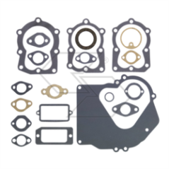 TECUMSEH 4-5 PS Dichtungssatz R240205 | NewgardenParts.com