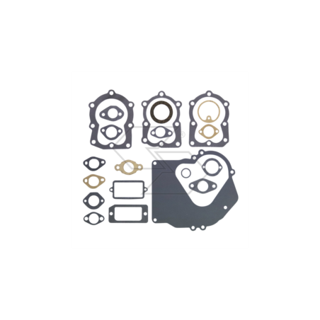 TECUMSEH 4-5 PS Dichtungssatz R240205 | NewgardenParts.com