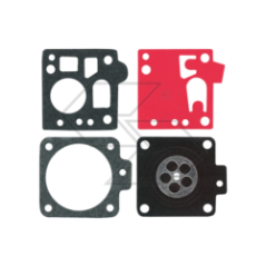Membran und Dichtung Serie BING 49 A R123207 | NewgardenParts.com