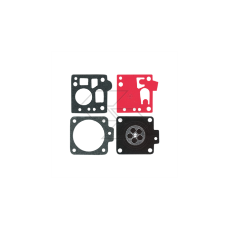 Membran und Dichtung Serie BING 49 A R123207 | NewgardenParts.com