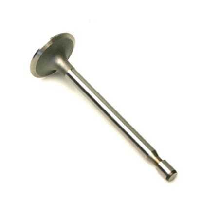 Original BRIGGS & STRATTON Rasenmähermotorventil 212004 | NewgardenParts.com