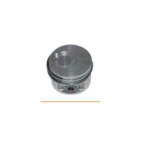 PISTONES COMPLETOS 130254P LDW 502 Citycar | NewgardenParts.com