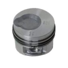 PISTONS COMPLETS 130255P LDW 602 LDW 903