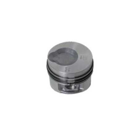 PISTONS COMPLETS 130255P LDW 602 LDW 903 | NewgardenParts.com