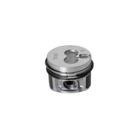 PISTONS COMPLETS 130259P LDW 702 LDW 702/P LDW 1003 | NewgardenParts.com