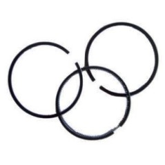 SEGMENT SERIES D70.03.01403 YANMAR L48 ZANETTI ZDM 70 | NewgardenParts.com
