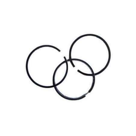 SEGMENT SERIES D70.03.01403 YANMAR L48 ZANETTI ZDM 70 | NewgardenParts.com