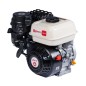 ZANETTI BENZINA ZBM210C1MV Motor komplett Motor Grubber konisch 23 mm manuell