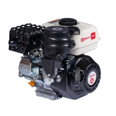 ZANETTI BENZINA ZBM210C1MV Motor komplett Motor Grubber konisch 23 mm manuell | NewgardenParts.com