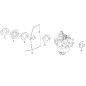 CARBURADOR 170021298-0001 ORIGINAL BLUE BIRD