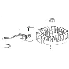 BOBINA 270920555-0001 ORIGINALE BLUE BIRD | NewgardenParts.com