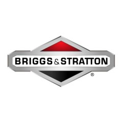 Vite motore trattorino tagliaerba ORIGINALE BRIGGS & STRATTON 002X94MA