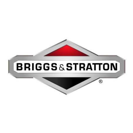 Vite motore trattorino tagliaerba ORIGINALE BRIGGS & STRATTON 002X94MA | NewgardenParts.com