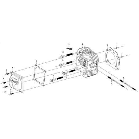Zylinderdeckeldichtung 120250079-0001 Original Blue Bird | NewgardenParts.com