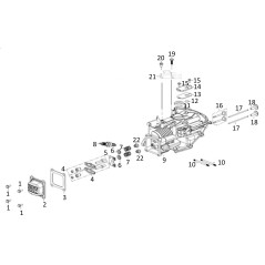 VALVE SPRING 140340039-0001 ORIGINAL BLUE BIRD | NewgardenParts.com