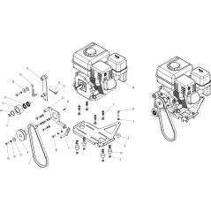 CORREA ORIGINAL BLUE BIRD W600 2080020 | NewgardenParts.com