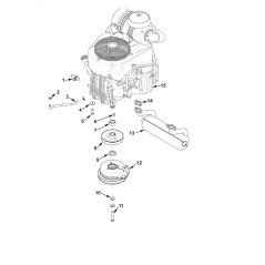 OIL DRAIN SCREW 343146 ORIGINAL BLUE BIRD | NewgardenParts.com