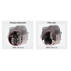 Complete engine ZANETTI ZBMV750/2L8 750 cc 16kW cylindrical shaft L8 25.4x80.26 | NewgardenParts.com