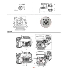 Moteur complet ZANETTI HBM200L2V 196cc horizontal 19,05mm à remontage automatique | NewgardenParts.com